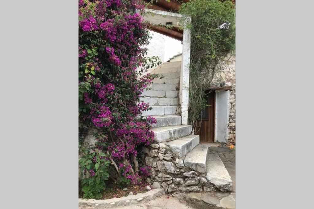 Traditional Stone House In Eastern Mani Flomochori Exterior foto